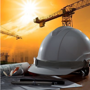 Terrestre y Construcción